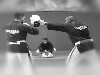 photos combattants poings