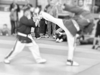 photos combattants poings